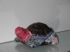 Tortue